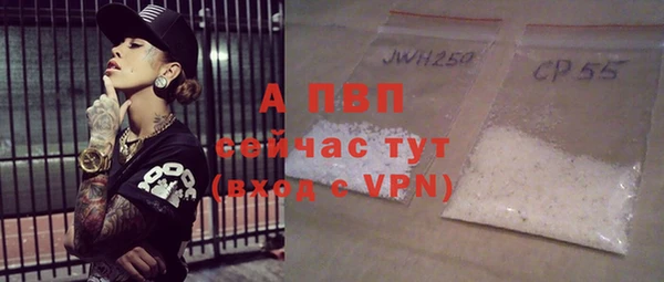 стаф Алексин