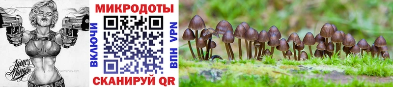 хочу   Долинск  Псилоцибиновые грибы Cubensis 